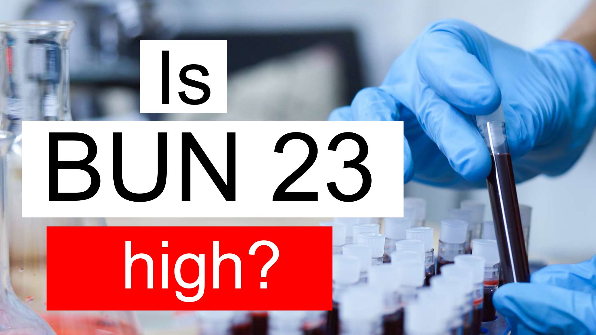 Is BUN 23 High Normal Or Dangerous What Does Blood Urea Nitrogen 