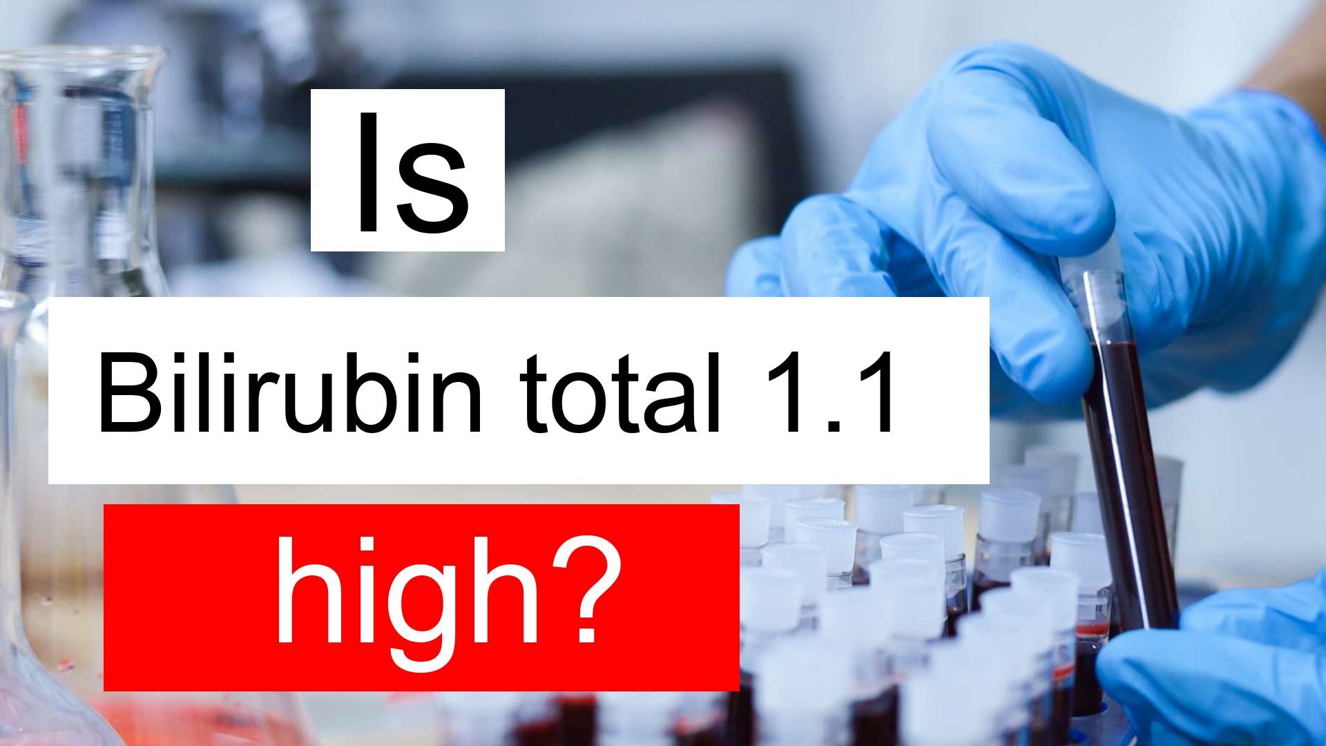 What Does High Total Bilirubin Mean In Dogs