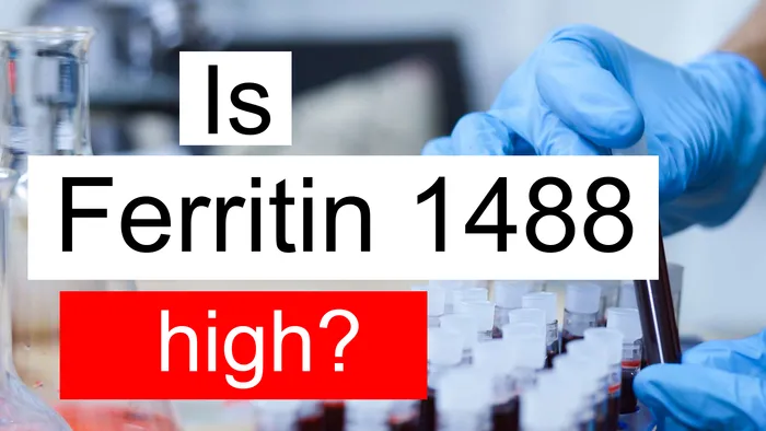 Ferritin 1488