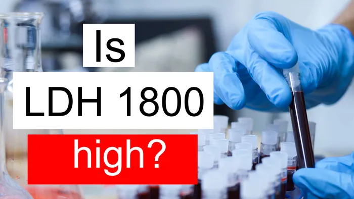 is-ldh-1800-high-normal-or-dangerous-what-does-lactate-dehydrogenase