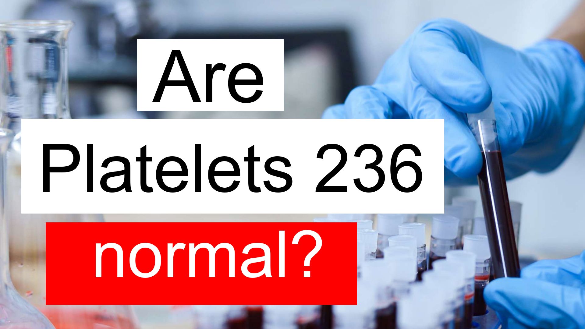 is-platelet-count-236-normal-high-or-low-what-does-platelet-count