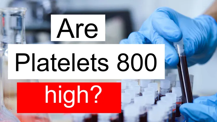 is-platelet-count-800-high-normal-or-dangerous-what-does-platelet