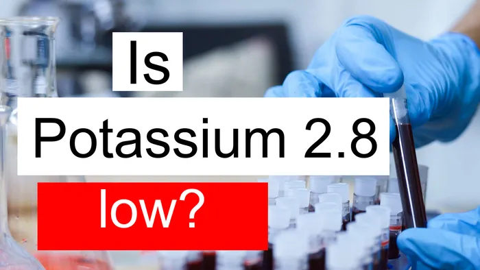 Potassium 2.8