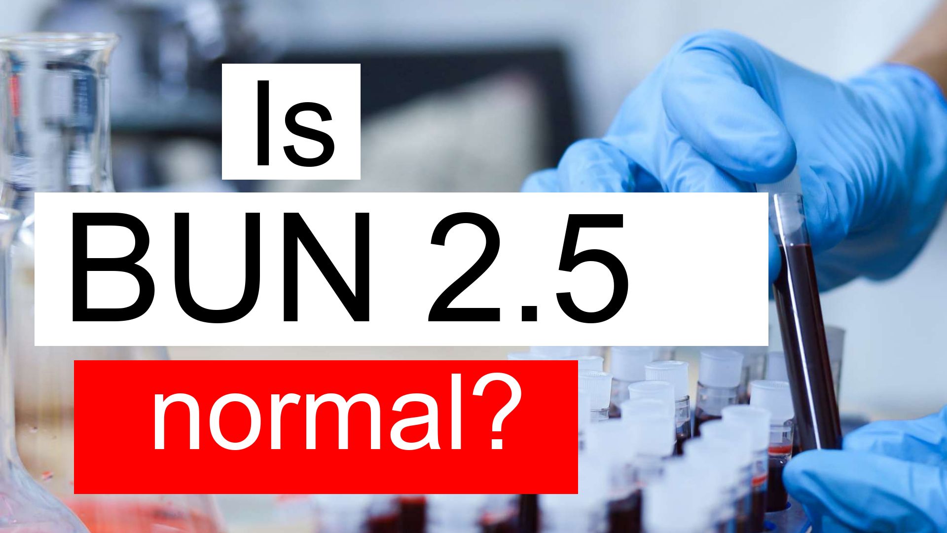 is-serum-bun-2-5-normal-high-or-low-what-does-serum-bun-level-2-5-mean