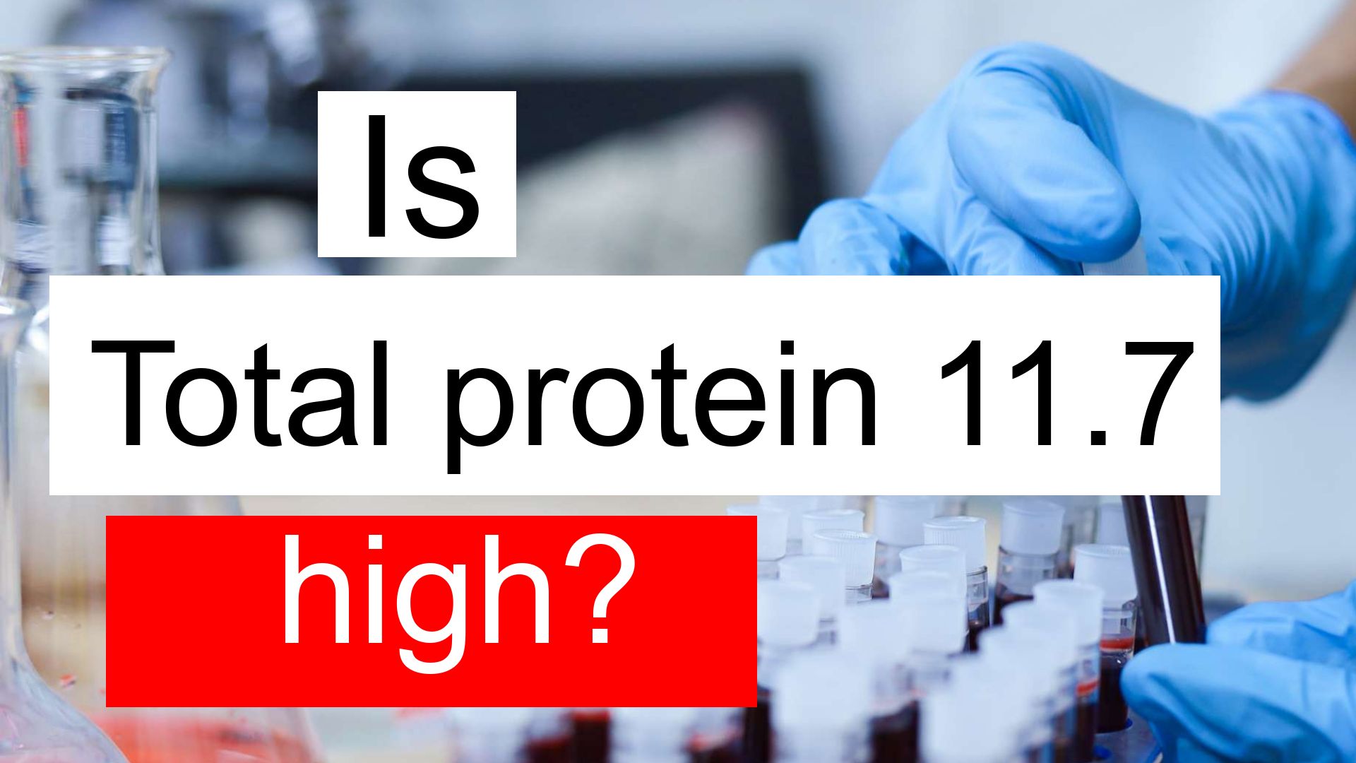 What Does Low Total Protein Mean In Blood Work