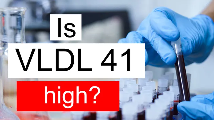 VLDL 41