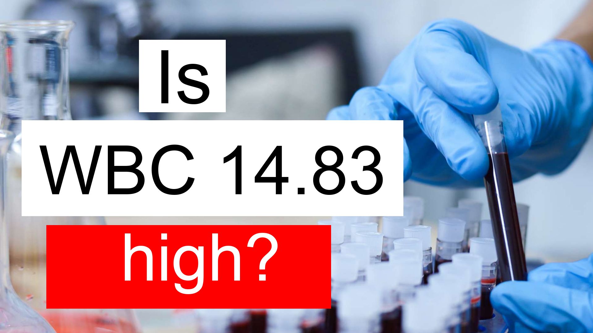 Is WBC 14 83 High Normal Or Dangerous What Does White Blood Cell 