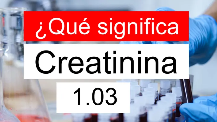 Creatinina 1.03